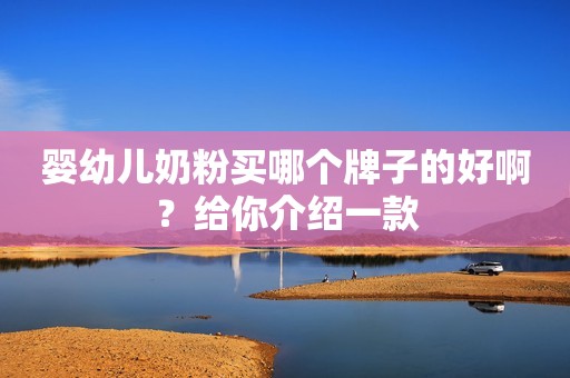 婴幼儿奶粉买哪个牌子的好啊？给你介绍一款