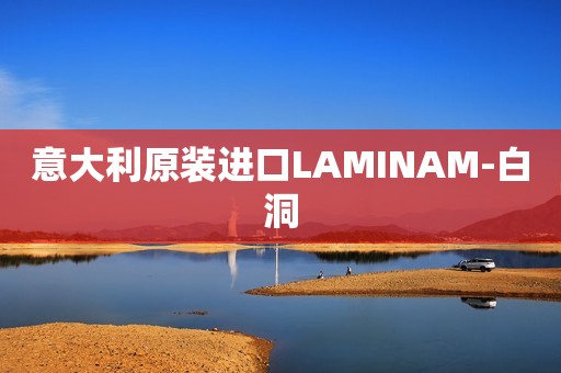 意大利原装进口LAMINAM-白洞