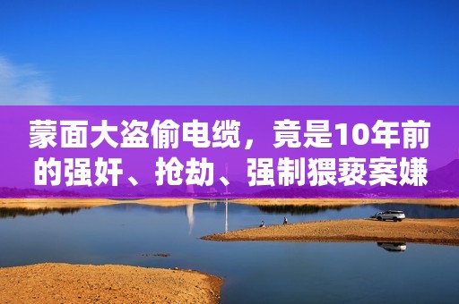 蒙面大盗偷电缆，竟是10年前的强奸、抢劫、强制猥亵案嫌疑人