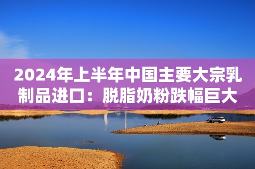 2024年上半年中国主要大宗乳制品进口：脱脂奶粉跌幅巨大，酪钠到货暴增六成