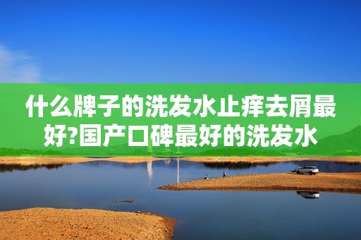 什么牌子的洗发水止痒去屑最好?国产口碑最好的洗发水