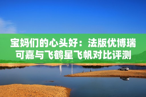 宝妈们的心头好：法版优博瑞可嘉与飞鹤星飞帆对比评测