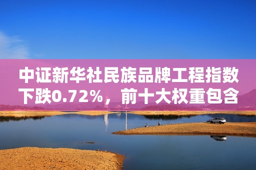 中证新华社民族品牌工程指数下跌0.72%，前十大权重包含美的集团等