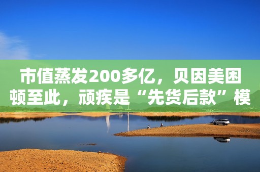 市值蒸发200多亿，贝因美困顿至此，顽疾是“先货后款”模式