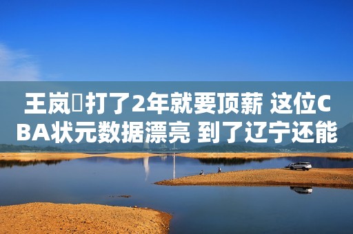 王岚嵚打了2年就要顶薪 这位CBA状元数据漂亮 到了辽宁还能好使吗？