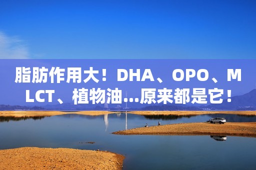 脂肪作用大！DHA、OPO、MLCT、植物油...原来都是它！