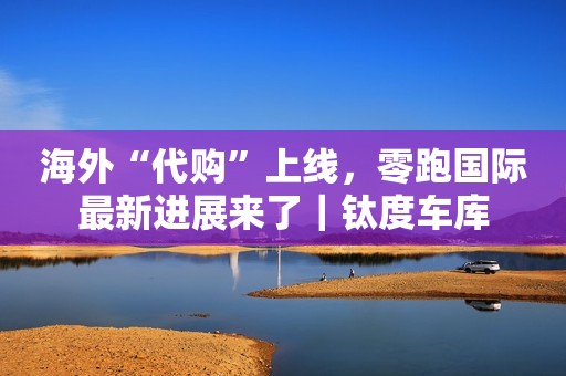 海外“代购”上线，零跑国际最新进展来了｜钛度车库