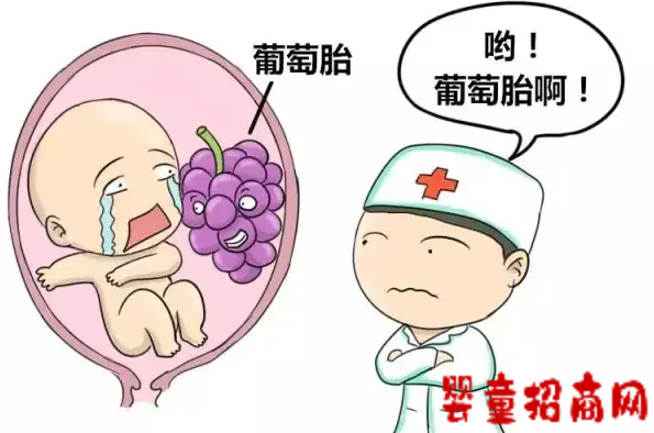 做试管会出现葡萄胎吗?是葡萄胎怎么办?