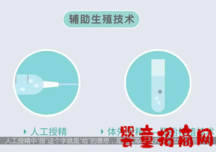 人工授精怀孕和试管怀孕分别适合哪些情况